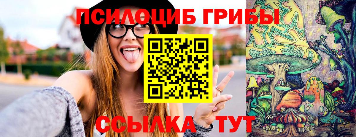 Рубцовск  Псилоцибиновые грибы GOLDEN TEACHER  Вход с VPN 